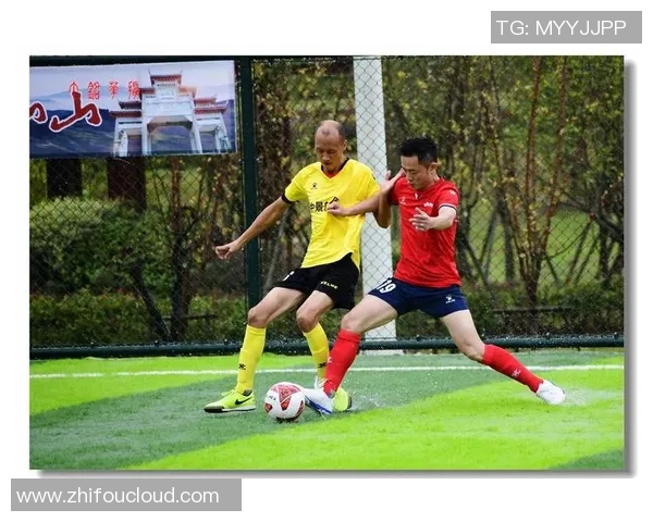 走近绿茵场上的传奇人物深度访谈足球明星的成长与梦想