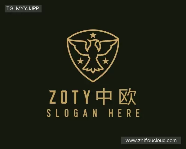 解读zoty中欧